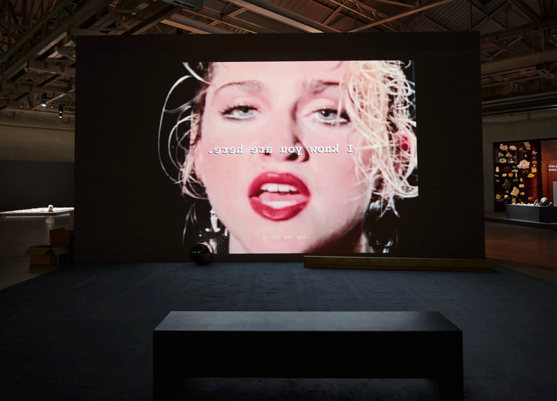 Galleria foto 'All’HangarBicocca “the eye, the eye and the ear”, la personale di Trisha Baga' - foto 1