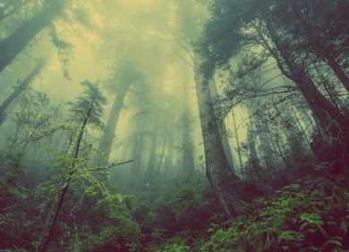 Enel X con FederlegnoArredo per la riqualificazione del patrimonio abitativo