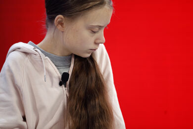 Adesivi choc su Greta Thunberg, violentata da un uomo