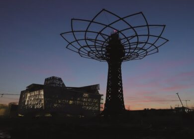 “M’illumino di meno”, l’Albero della Vita si spegne per una sera
