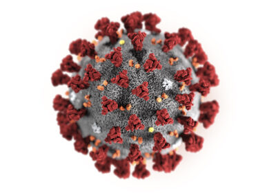 Le virtù del Corona Virus
