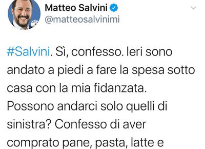 salvini salvini