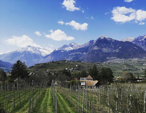 merano 3 merano 3