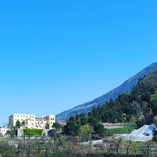 Coronavirus, iniziativa da Merano: ammiriamo la città dalle finestre di casa Coronavirus, iniziativa da Merano: ammiriamo la città dalle finestre di casa