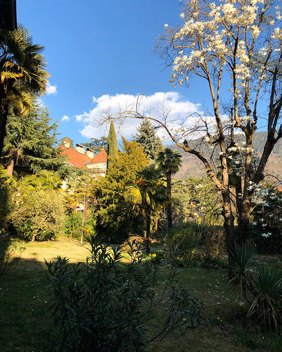 Coronavirus, iniziativa da Merano: ammiriamo la città dalle finestre di casa Coronavirus, iniziativa da Merano: ammiriamo la città dalle finestre di casa