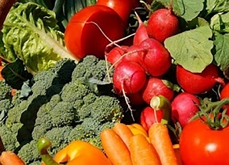 Confagricoltura, a rischio frutta e verdura. Intervenga la Commissione Ue Confagricoltura, a rischio frutta e verdura. Intervenga la Commissione Ue