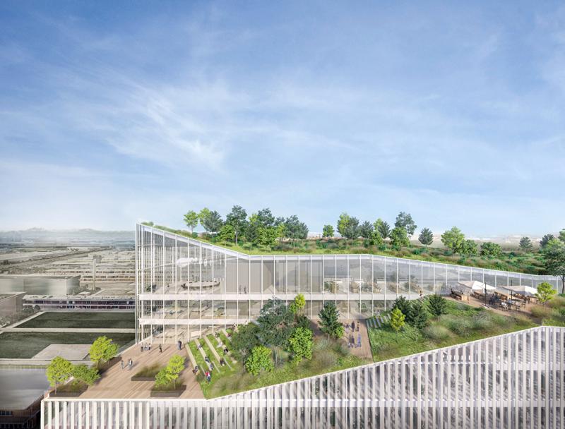 Human Technopole, nasce il nuovo palazzo per la ricerca. Ecco come sarà Human Technopole, nasce il nuovo palazzo per la ricerca. Ecco come sarà