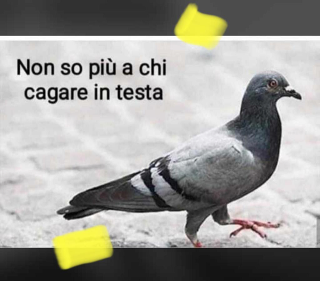 Coronavirus vissuto con ironia. La Gioconda e il taglio di capelli.. fai da te Coronavirus vissuto con ironia. La Gioconda e il taglio di capelli.. fai da te