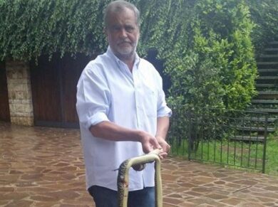 Calderoli: “Buoni del tesoro italiani? Investirò per primo i miei risparmi”