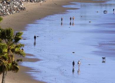 Coronavirus: “La salvezza del corpo in cambio dell’anima”