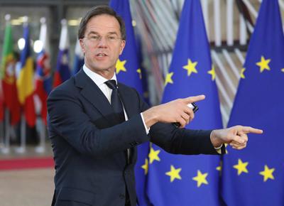 Mark Rutte ape Mark Rutte ape