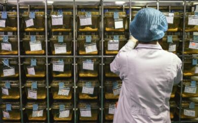 Coronavirus, vaccino anti influenza obbligatorio: “Basta Governatori sceriffi”