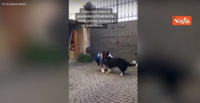 Coronavirus, cane rivede la padrona dopo due mesi: reazione strappalacrime