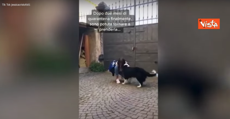 Coronavirus, cane rivede la padrona dopo due mesi: reazione strappalacrime Coronavirus, cane rivede la padrona dopo due mesi: reazione strappalacrime