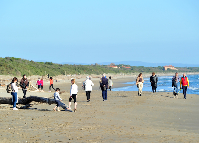 Coronavirus, la disinfezione delle spiagge uccide l’ambiente: allarme Wwf Coronavirus, la disinfezione delle spiagge uccide l’ambiente: allarme Wwf