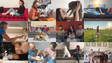 Your Pet Stories, primo spot user-generated Arcaplanet realizzato con Alkemy