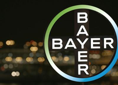 bayer bayer