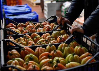 Il costo di un pomodoro senza caporalato. Siete pronti a sostenerlo? Inchiesta