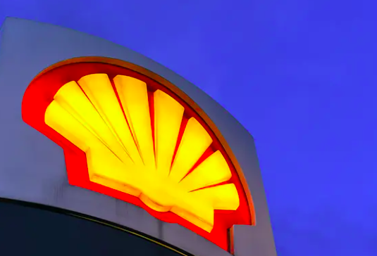 Galleria foto 'Covid,volano per Amazon, Carrefour e Bayer.Cigno nero per Boeing, Lvmh e Shell' - foto 1