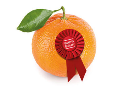 Agroalimentare, un investimento da 23 milioni a Pontelatone e a Battipaglia