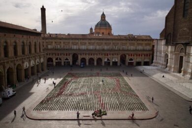 Sardine? Sono tornate a Bologna. Vendute 6mila piantine per finanziarsi. VIDEO