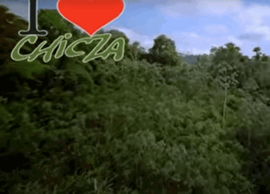 Chizca, il chewing-gum green che fa bene al Pianeta e piace ai Millennials