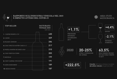 Industria vinicola, l’indagine di Area Studi Mediobanca: calo vendite nel 2020