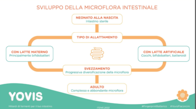 Cos’è il Fingerprint batterico? Yovis racconta il microbiota