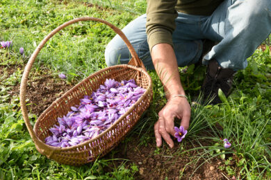 Zafferano 3 Cuochi, lo storico marchio milanese festeggia i suoi primi 85 anni