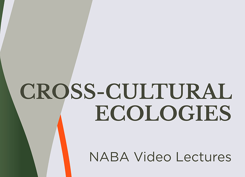Naba, al via video lectures online per trovare soluzioni all’attuale crisi Naba, al via video lectures online per trovare soluzioni all’attuale crisi