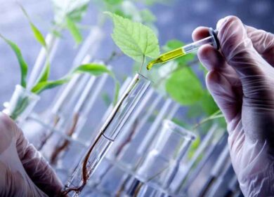 Rapporto bioeconomia, Italia terza in Europa con una crescita di oltre 7 mld