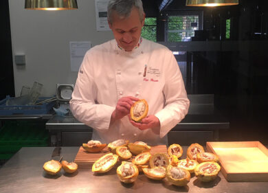 Le meraviglie dell’Orto Botanico di Padova interpretate da Luigi Biasetto