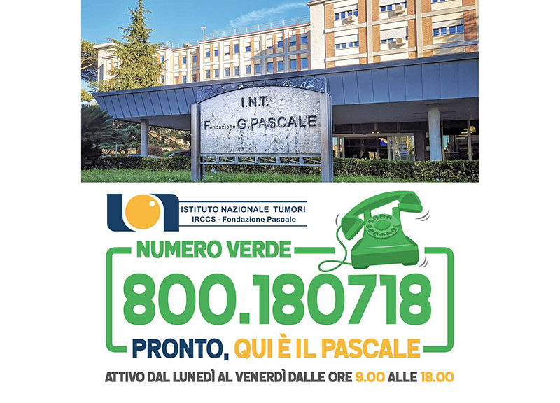 “Pronto, qui è il Pascale”, al numero verde 11mila chiamate in appena due mesi “Pronto, qui è il Pascale”, al numero verde 11mila chiamate in appena due mesi