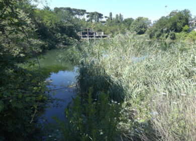 Lago Ex Snia monumento naturale: c’è l’ok della commissione regionale Ambiente