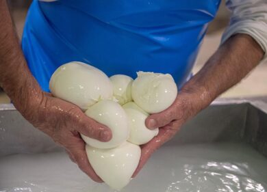 Mozzarella di bufala dop, è al via la campagna d’estate con Casa Surace