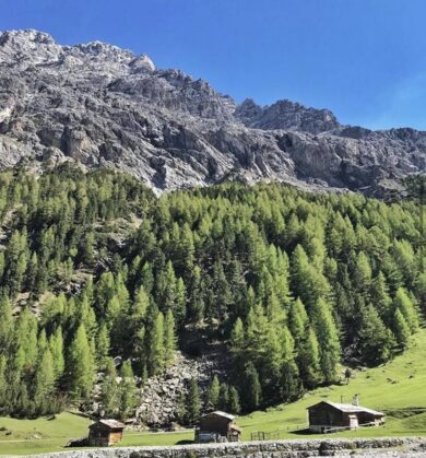 Fuga dalla città: estate 2020 a Bormio, tra sport, cibo e relax