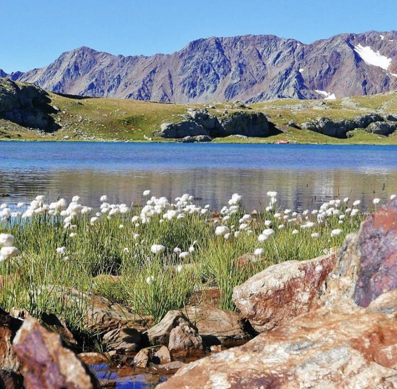 Fuga dalla città: estate 2020 a Bormio, tra sport, cibo e relax