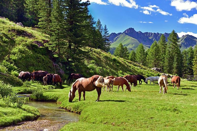 Fuga dalla città: estate 2020 a Bormio, tra sport, cibo e relax