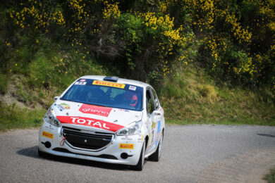 PEUGEOT Competition 208 Rally Cup PRO, riaccende i motori