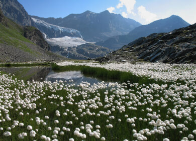 Dalla Val Chiavenna alla scoperta della zona di produzione della Bresaola Igp
