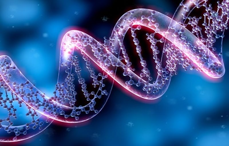 Astaxantina, elisir di lunga vita. La conferma arriva dalla scienza Astaxantina, elisir di lunga vita. La conferma arriva dalla scienza
