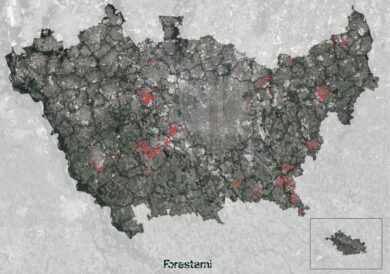 ForestaMI, procede il piano per avere 3 milioni di alberi nel Milanese