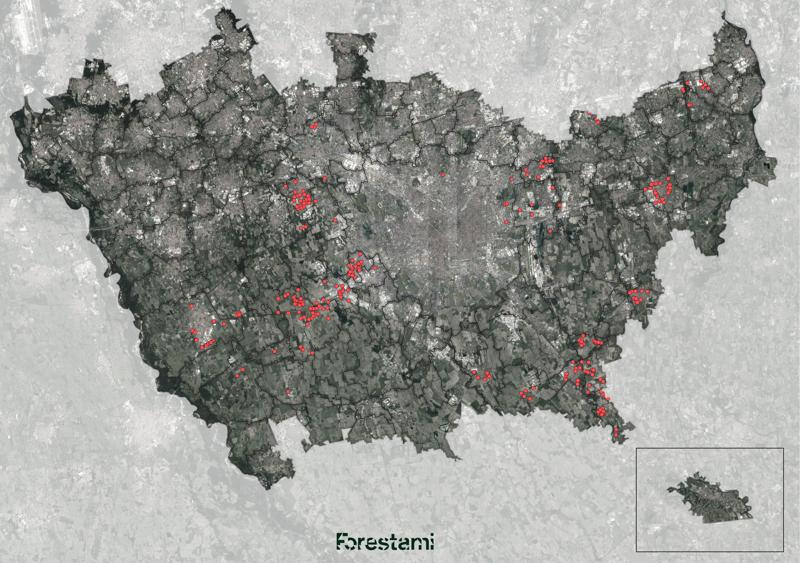 ForestaMI, procede il piano per avere 3 milioni di alberi nel Milanese ForestaMI, procede il piano per avere 3 milioni di alberi nel Milanese