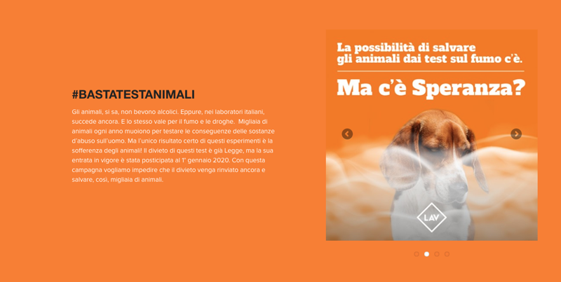 Lega AntiVivisezione: “I cittadini europei dicono basta ai test sugli animali” Lega AntiVivisezione: “I cittadini europei dicono basta ai test sugli animali”