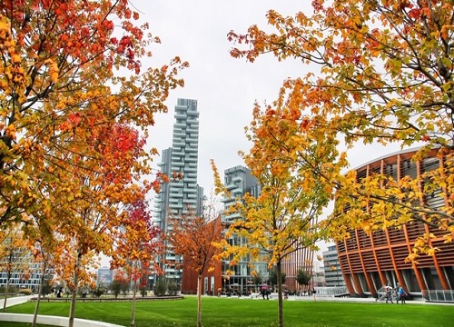 Estate al Bam, la Biblioteca degli Alberi di Milano. FOTO Estate al Bam, la Biblioteca degli Alberi di Milano. FOTO