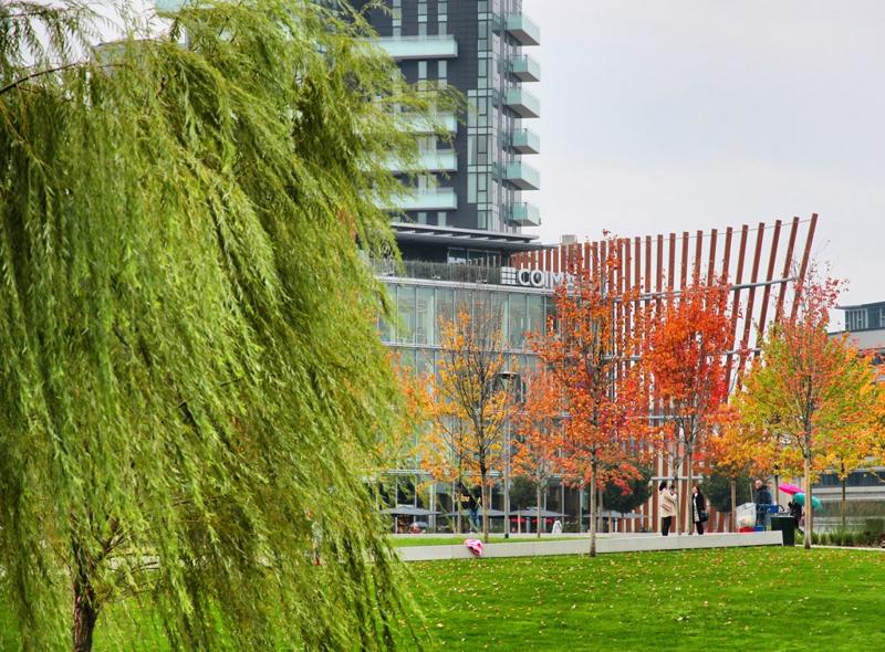 Estate al Bam, la Biblioteca degli Alberi di Milano. FOTO Estate al Bam, la Biblioteca degli Alberi di Milano. FOTO