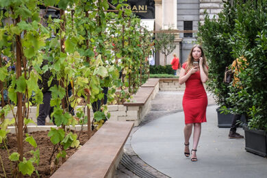 La proposta verde è come il prezzemolo: un po’ ovunque quindi da nessuna parte