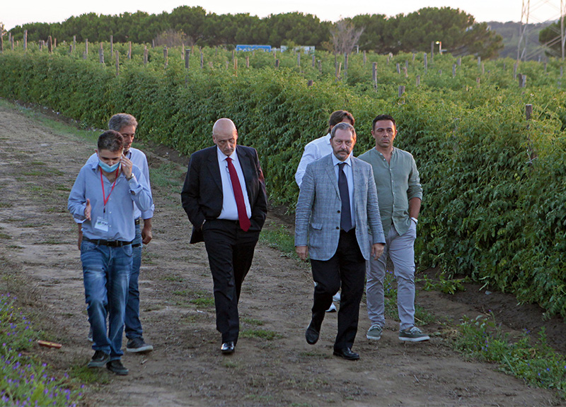 Pozzuoli, con il Mac l’agricoltura di qualità rigenera le aree abbandonate Pozzuoli, con il Mac l’agricoltura di qualità rigenera le aree abbandonate