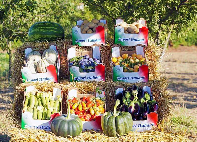Pozzuoli, con il Mac l’agricoltura di qualità rigenera le aree abbandonate Pozzuoli, con il Mac l’agricoltura di qualità rigenera le aree abbandonate