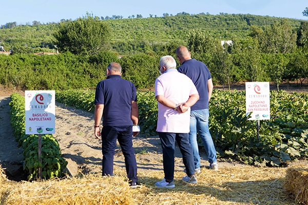 Pozzuoli, con il Mac l’agricoltura di qualità rigenera le aree abbandonate Pozzuoli, con il Mac l’agricoltura di qualità rigenera le aree abbandonate